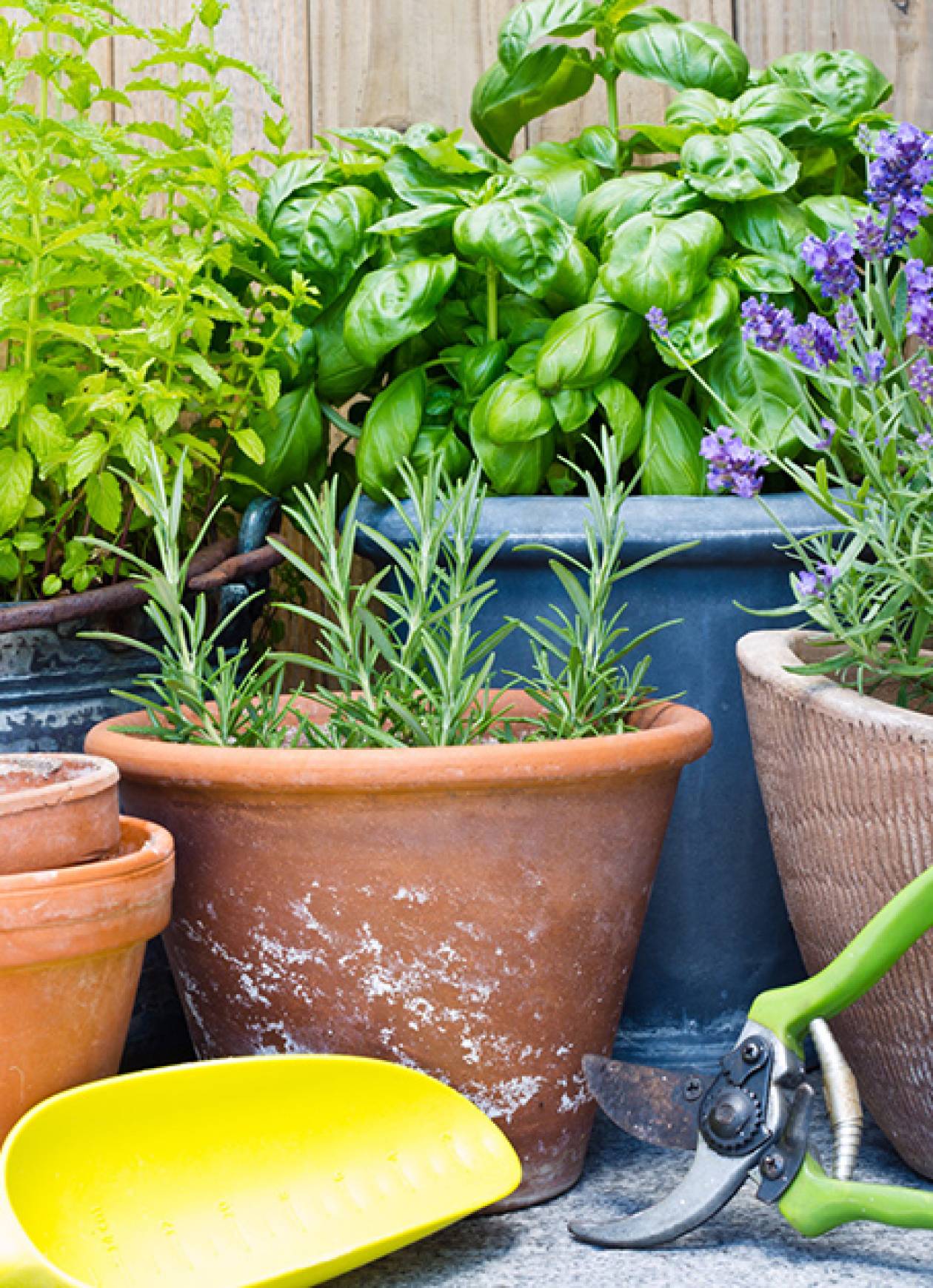 Garden Supplies Services